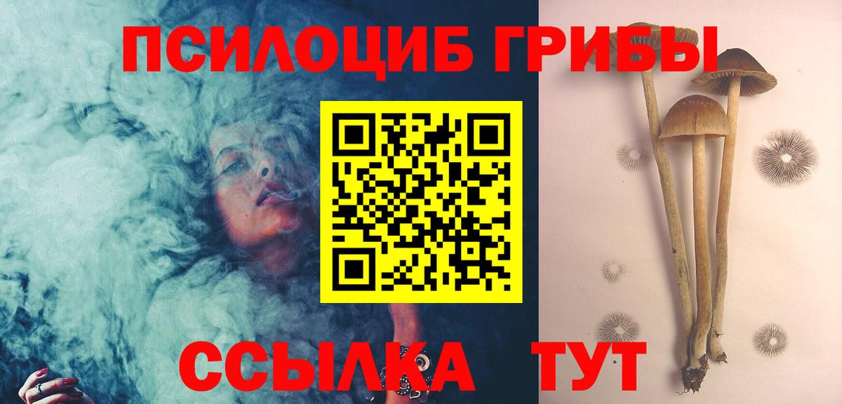 Псилоцибиновые грибы GOLDEN TEACHER  Вход с VPN  Богородицк 